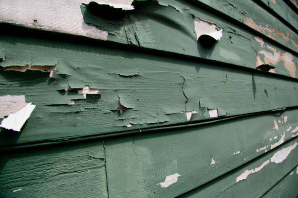 Best Siding for New Construction  in Juneau, WI