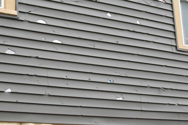 Affordable siding repair and maintenance services in Juneau, WI