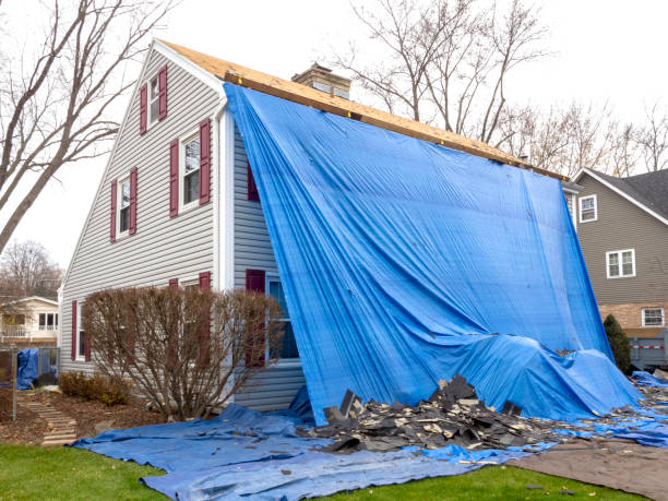 Best Insulated Siding Installation  in Juneau, WI