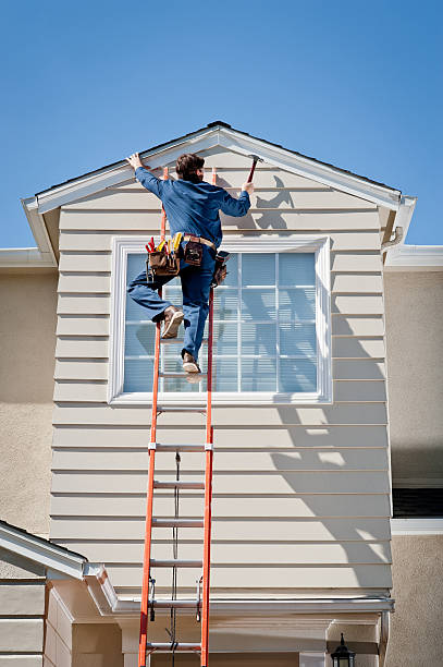 Best Custom Siding Design  in Juneau, WI